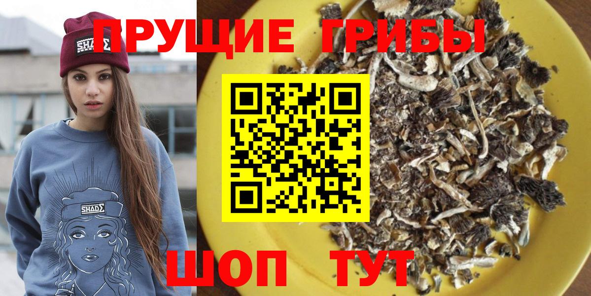 Галлюциногенные грибы Psilocybine cubensis Сургут