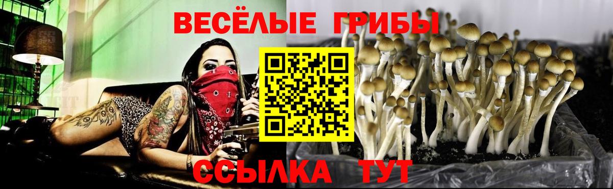 Галлюциногенные грибы прущие грибы  Вход с VPN  Псилоцибиновые грибы Magic Shrooms  Сургут 